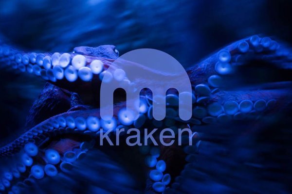 Kraken biz